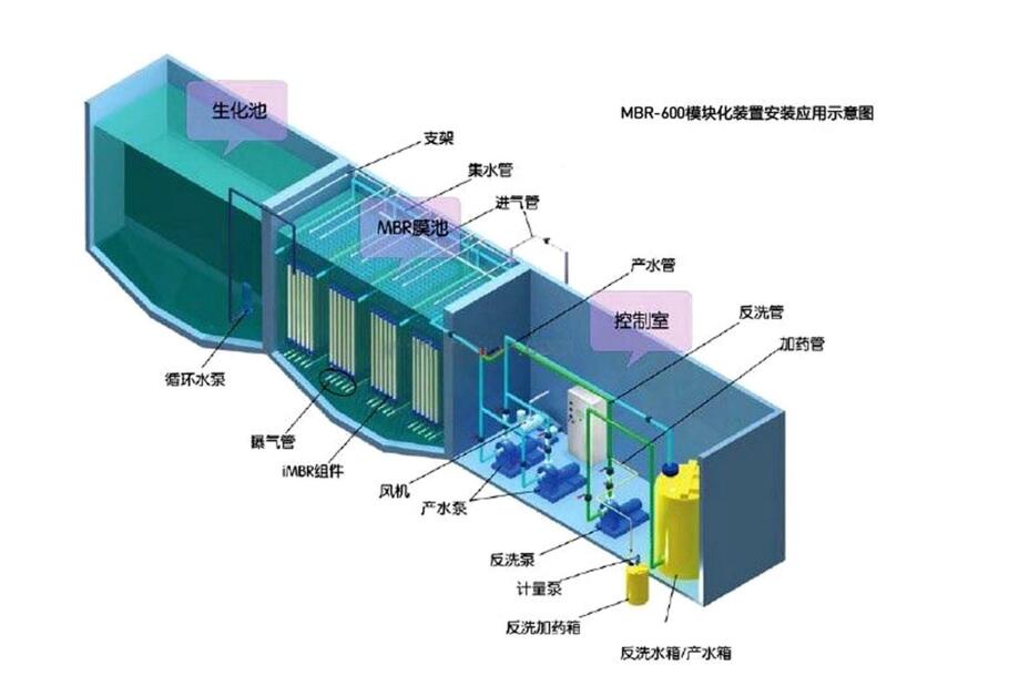 好色先生污污APP下载